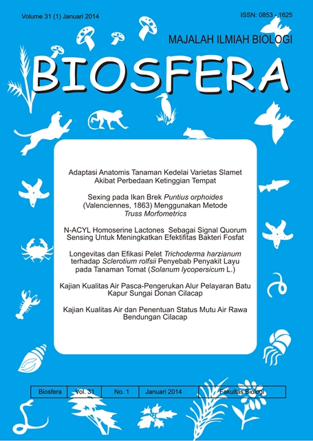 Halaman Sampul