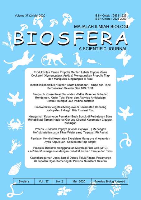 Halaman Sampul
