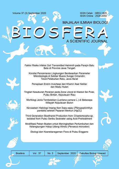 Halaman Sampul