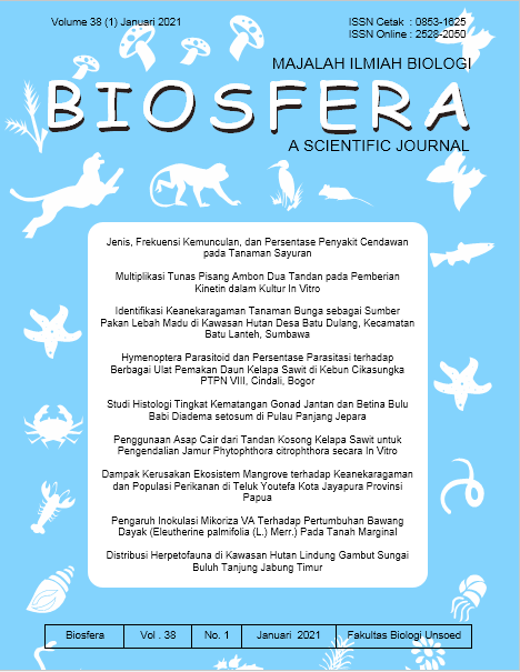 Halaman Sampul